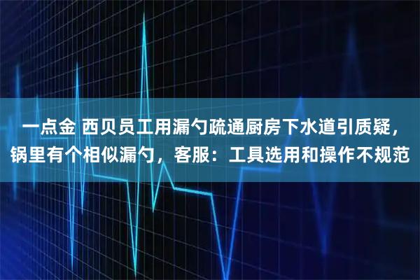 一点金 西贝员工用漏勺疏通厨房下水道引质疑，锅里有个相似漏勺，客服：工具选用和操作不规范