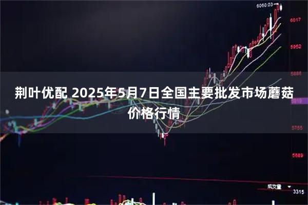 荆叶优配 2025年5月7日全国主要批发市场蘑菇价格行情