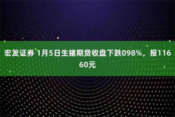 宏发证券 1月5日生猪期货收盘下跌098%，报11660元