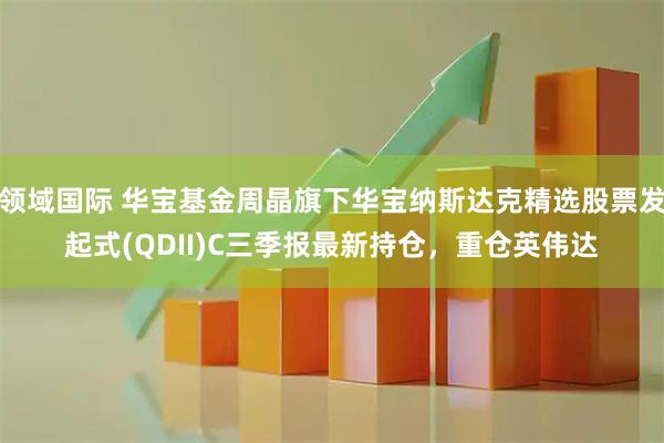 领域国际 华宝基金周晶旗下华宝纳斯达克精选股票发起式(QDII)C三季报最新持仓，重仓英伟达