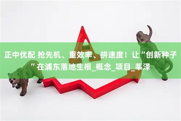 正中优配 抢先机、重效率、拼速度！让“创新种子”在浦东落地生根_概念_项目_莘泽